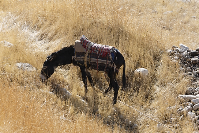 Tâq-e Bostân-Sur la route-022